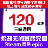【填寫游戲數(shù)字ID】永劫無(wú)間金塊120充值金磚支持Steam網(wǎng)易epic三端通用寶箱禮包 120金塊