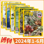 【半年/全年訂閱】博物雜志2025年訂閱共12期 自然科學少兒科普百科中國國家地理青少年版 2023年典藏版 【上半年珍藏】2024年1-6月