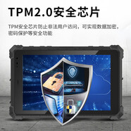 品鉑（PIPO）W10N加固三防平板電腦工業(yè)pad可定制防爆win10/安卓系統 W10N (16+256G）win10普分高亮 防爆版本