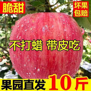 補貼價(jià)】頭茬陜西紅富士蘋(píng)果脆甜新鮮冰糖心蘋(píng)果水果一整箱批發(fā) 精選大果【70-75mm】?jì)糁?斤裝 限時(shí)特賣(mài)：只剩00:05分