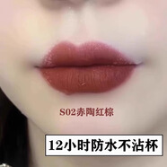 蘭奕小金管不沾杯口紅防水不掉色肉桂奶茶色霧面啞光滋潤(rùn)素顏鎖色細(xì)管 S02赤陶紅棕