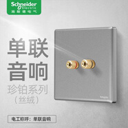 施耐德（Schneider）施耐德Schneider開(kāi)關(guān)插座珍鉑系列煙云灰色86型新款家用裝飾USB單 二頭音響