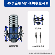 魅聲48V大振膜電容麥克風(fēng)手機(jī)電腦唱歌錄音聲卡套裝無(wú)線手持  低切衰減大震膜A級(jí)麥H5