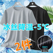 塵行者（CHENXINGZHE）夏季新款冰絲男T恤裝網(wǎng)眼短學(xué)生純色速干體恤衫大碼潮流衣服 淺灰+黑色【兩件裝】 2XL 125-139斤
