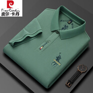 皮爾卡丹（pierre cardin）品牌純棉短袖T恤男中青年高檔刺繡翻領(lǐng)POLO保羅衫潮流體恤上衣男 M61綠色【100棉】 2XL【建議150-170斤】
