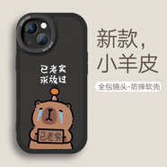 來(lái)無(wú)憂(yōu)錯了沒(méi)情侶手機殼任意機型水豚卡皮巴拉蘋(píng)果16有趣味11好玩iPhone14華為小米13蘋(píng)果15promax耐臟12 【小羊皮】黑7690 iphone 15 Pro