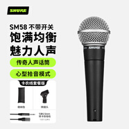 SHURE舒爾SM58動(dòng)圈人聲麥克風(fēng) 專業(yè)錄音 戶內(nèi)外舞臺(tái)演出話筒 吉他彈唱歌 6.5mm卡農(nóng)線(5米)套餐