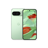 谷歌（Google）pixel 9 Pixel9 Pro XL pixel 9 ProFOLD谷歌新款手機(jī)海外國際版 內(nèi)置Gemini AI 新款A(yù)I智能手機(jī) Pixel 9 嫩芽綠 128GB美版