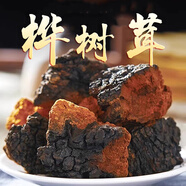 千方佰草集樺樹茸俄羅斯野生天然樺褐孔菌白樺茸樺樹淚小塊1斤裝 野生樺樹茸五袋（500克x5）