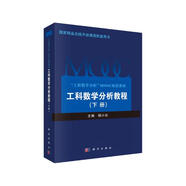 工科數(shù)學(xué)分析教程（下冊）