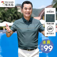 啄木鳥爸爸夏裝中老年t恤40-50歲中年男士夏季薄款冰絲短袖爺爺寬松半袖 6939綠色 4XL /190