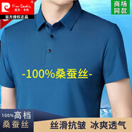 皮爾卡丹（pierre cardin）短袖t恤男桑蠶絲圓領(lǐng)夏季新款高檔真絲半袖體恤衫男裝冰.絲上衣 藍色 9600 XL 175=