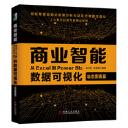 商業(yè)智能：從Excel到Power BI的數(shù)據(jù)可視化（動態(tài)圖表篇）