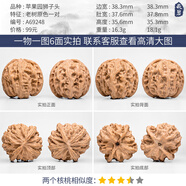 時鳥蘋果圓文玩核桃盤玩手盤把玩蘋果園核桃一物一圖獅子頭精品小手捻 A69248 老樹原色蘋果園獅子頭38m