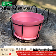 愛(ài)美穗陽(yáng)臺(tái)花架掛式露臺(tái)欄桿置物鐵藝架子多肉綠植盆栽壁掛花盆掛架懸掛 黑架+粉盆+托盤(pán) 中等