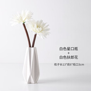 浣熊日記客廳擺設(shè)防真花餐桌花擺花茶幾假花仿真花花束裝飾花茶幾裝飾擺件 白色星口瓶白色扶郎花