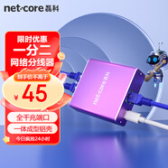 磊科（netcore）Z12G 一分二網(wǎng)線分線器 2網(wǎng)口轉(zhuǎn)接頭網(wǎng)絡(luò)交換器 千兆交換機 電腦筆記本路由器IPTV機頂盒HUB分流器