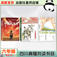 四川六年級(jí)雨季的陽(yáng)光安徽少年兒童出版社小兵雄赳赳青島出版社中國(guó)軌道號(hào)螻蟻之城半條棉被湖南少年兒童出版社三十六只蜂箱追尋少年與海砂粒與星塵 六年級(jí)春季3本