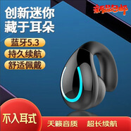 達人志 骨傳導概念藍牙耳機2024新款無(wú)線(xiàn)耳夾式運動(dòng)不掉跑步耳機掛耳不入耳男女士款 HiFi音質(zhì)丨超清通話(huà)【鏡夜黑】 通用