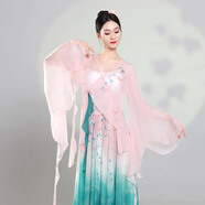 蒂默奇新款開(kāi)場(chǎng)舞蹈服古典舞服裝女紗衣身韻漸變超仙飄逸大擺裙中國(guó)舞民 單海棠大袖·衫 L 成人