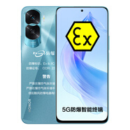 榮耀（HONOR）X50酷風(fēng)定制版防爆手機(jī)石油化工廠醫(yī)藥專用手機(jī)驍龍6超長待機(jī)一億像素12+256G 防爆定制版（X50i） 8G+256G