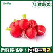 櫻桃蘿卜新鮮小紅蘿卜水果蘿卜西餐沙拉蔬菜健身食材4斤 500g