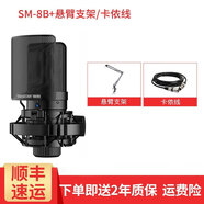 得勝（TAKSTAR） SM-8B電容麥克風(fēng)話筒電腦錄音設(shè)備主播手機(jī)K歌專用直播筆記本通用德勝 線材+支架套餐