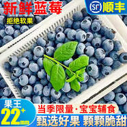 高原藍莓125g盒新鮮當季水果藍梅鮮果云南高山進口怡顆甜藍莓孕婦 優(yōu)選中果14-16mm 2盒