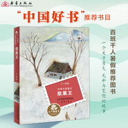 王一梅童書·經(jīng)典長篇童話--漿果王