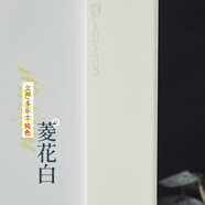 角斗士鈦鋁合金護(hù)墻角保護(hù)條免打孔護(hù)角條裝飾客廳防撞收邊包邊陽角條 菱花白：寬20*20MM 厚1.5MM 1.5米