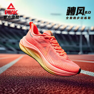 匹克（PEAK）男鞋態(tài)極科技騁風(fēng)跑步鞋男夏季耐磨緩震訓(xùn)練學(xué)生體考專用運(yùn)動(dòng)鞋男 熒光水紅-騁風(fēng)2.0 39
