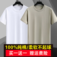 戰(zhàn)浩【2件】純棉短袖t恤男夏季衣服圓領(lǐng)半袖寬松白上衣純色打底衫體恤 白色+卡其色 M 建議【100-110斤】