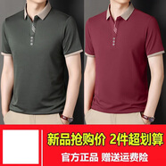 南極人純棉短袖t恤男士商務(wù)休閑夏季翻領(lǐng)polo衫中老年薄款寬松體恤 綠色+棗紅【兩件裝】 XL 【建議135-150斤】