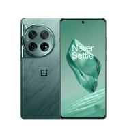 一加ONEPLUS 一加12海外版5G智能手機(jī)支持esim卡 安卓原生系統(tǒng)80W快充 國際版 onepuls 12綠色（支持esim卡） 16+512G