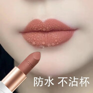 GOVO不易掉色不沾杯啞光口紅肉桂奶茶裸色系素顏?zhàn)匀伙@氣質(zhì)防水保濕 V06#肉桂奶茶