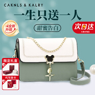 CAKNLS KALRY輕奢包包女款2025年單肩包斜挎女包奢侈品牌生日禮物送女友老婆 抹茶綠 禮盒裝