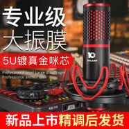 十盞燈 P10 調音臺聲卡套裝大振膜電容麥克風(fēng)錄音棚直播帶貨設備主播k歌唱歌抖音快手喊麥專(zhuān)用 P10單麥克風(fēng)【專(zhuān)業(yè)大振膜】