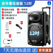 先科（SAST）廣場舞音響專業(yè)戶外k歌音箱帶話筒家用拉桿藍牙手拉麥克風 12吋+單耳麥