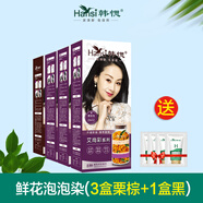 韓愢天然植物鮮花泡泡染發(fā)膏王姬代言黑色純韓思生態(tài)3d艾尚彩染發(fā)焗油 3盒栗棕+1盒黑D601（送護(hù)發(fā)素）