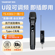 得勝（TAKSTAR） TS-K201無線話筒直播設(shè)備u段聲卡套裝家用唱歌ktv戶外音響演出通用 TS-K301一拖一 | 充電版