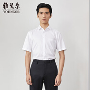 雅戈爾（YOUNGOR）短袖襯衫男條紋DP免燙襯衫純棉面料抗皺易打理新品商場(chǎng)同款 漂白YSDP19002BFA 41