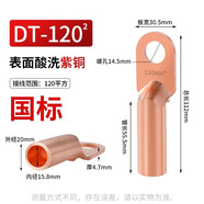 鐘性DT銅鼻子銅接頭DT10/16/25/35/50/70500平方接線端子堵油線耳鼻子 國標(biāo)純銅DT-120（1只）