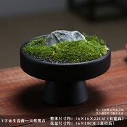 樸記永生苔蘚植物微景觀(guān)組合盆栽擺件新中式茶室桌面綠植造景禪意軟裝 B款T字永生苔蘚（天然黑石）
