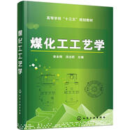 煤化工工藝學(xué)(宋永輝)