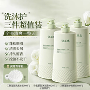 謎草集氨基酸白茶香洗發(fā)水去屑止癢控油蓬松持久留香柔順洗頭膏洗護(hù)套裝 【洗護(hù)沐三件套】氨基酸洗發(fā)水80 綠色 x 800ml