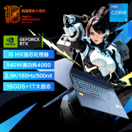 机械革命（MECHREVO）极光Pro16英寸 i5HX 游戏本笔记本电脑(i5-13450HX 16G 1T RTX4060 165HZ 2.5K屏 双液金散热)