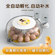 暖立方 家用型孵化器智能小雞孵化機(jī)全自動(dòng)小型雞鴨鵝孵化箱蘆丁孵蛋器 【自動(dòng)補(bǔ)水】12枚全自動(dòng)單電
