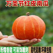 風(fēng)車車農(nóng)場紅皮南瓜 貝貝萬圣節(jié)雕刻南瓜燈 金倭瓜 紅南瓜 軟糯香甜板栗味 9斤 （個數(shù)隨機）