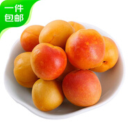 京鮮生 新疆吊干杏 凈重3斤 單果12g+  生鮮水果  時(shí)令限定 源頭直發(fā)