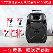 索愛(ài)F10藍(lán)牙音箱店鋪專(zhuān)用廣場(chǎng)舞音響戶(hù)外唱k歌移動(dòng)拉桿帶無(wú)線(xiàn)話(huà)筒便攜式音箱 12寸重低音+無(wú)線(xiàn)雙話(huà)筒+16G